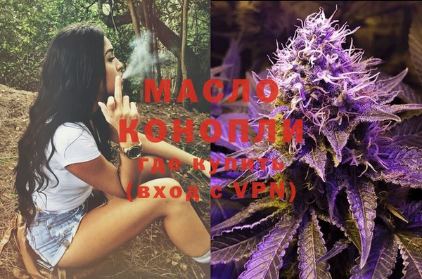 дживик Няндома