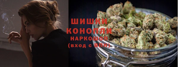 дживик Няндома