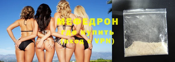 дживик Няндома