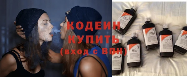 крисы Пересвет