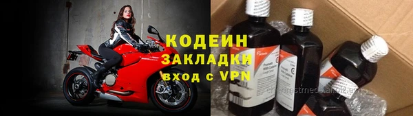 дживик Няндома