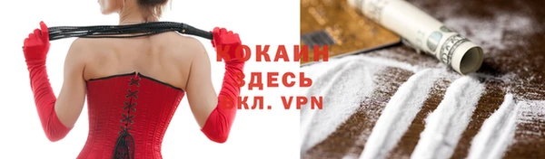 дживик Няндома