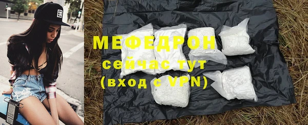 дживик Няндома