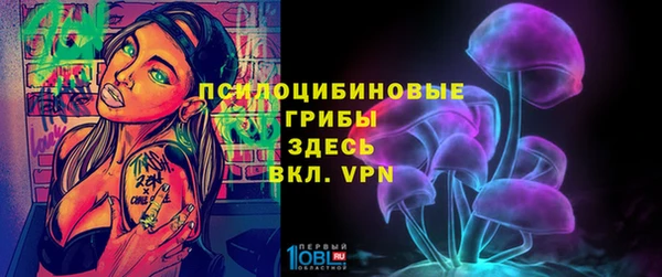 дживик Няндома