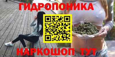 прущие крисы Балаково