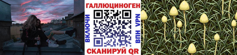 Псилоцибиновые грибы Psilocybe  Иркутск 
