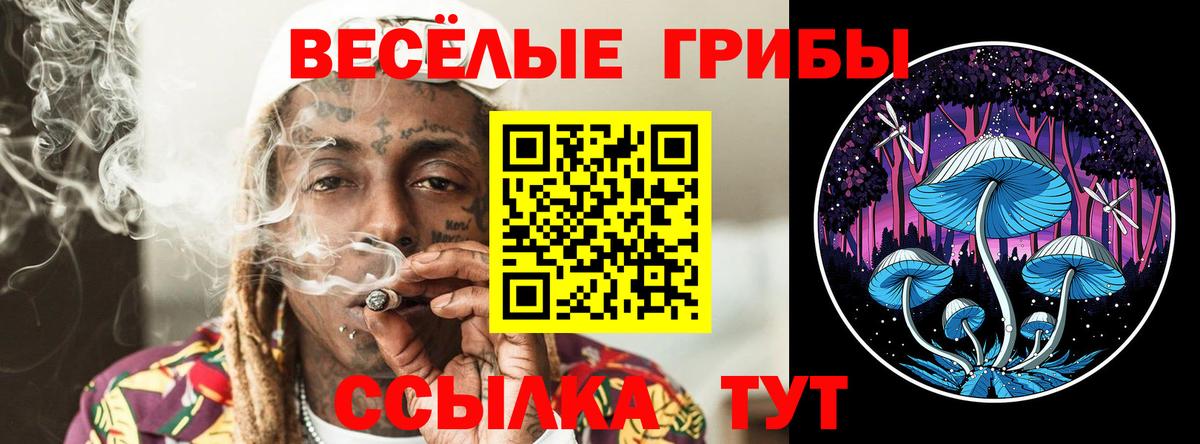 Иркутск  Галлюциногенные грибы мухоморы  Псилоцибиновые грибы Psilocybine cubensis  Вход с VPN 
